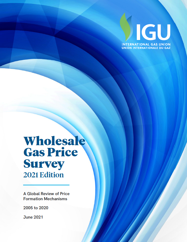 Global Wholesale Gas Price Survey 2021